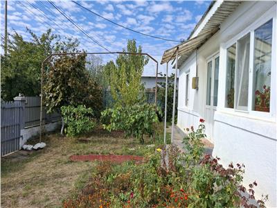 Casa Panciu, 870 mp teren curti constructii