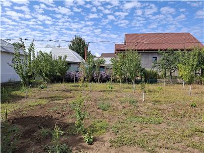 Casa Panciu, 870 mp teren curti constructii