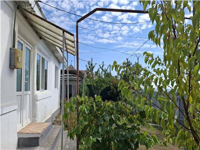 Casa Panciu, 870 mp teren curti constructii